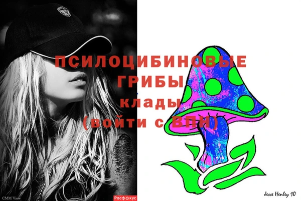 бутират Баксан