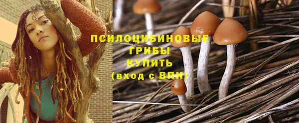 бутират Баксан