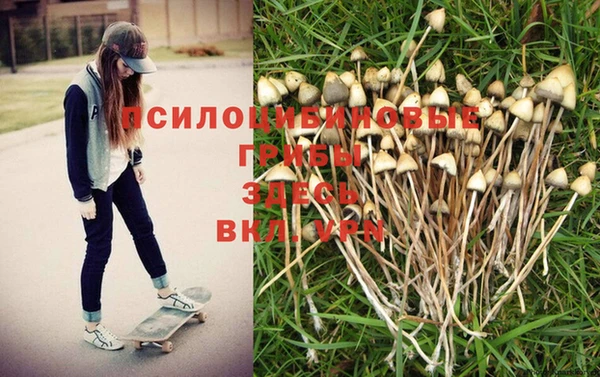 бутират Баксан