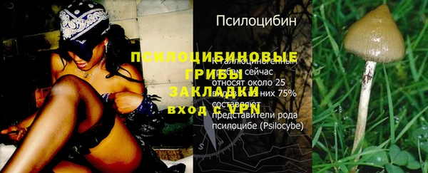 бутират Баксан