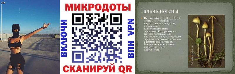 цена   omg зеркало  Псилоцибиновые грибы GOLDEN TEACHER  Уяр 